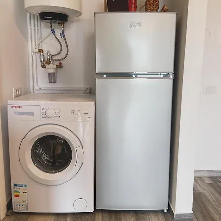 Apartament Delfinul 31 - Bychoice 公寓