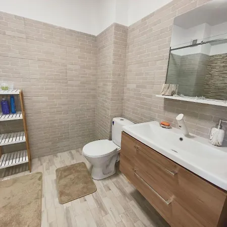 Apartament Delfinul 31 - Bychoice 公寓 艾福雷诺德