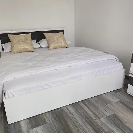 Apartament Delfinul 31 - Bychoice 公寓 艾福雷诺德